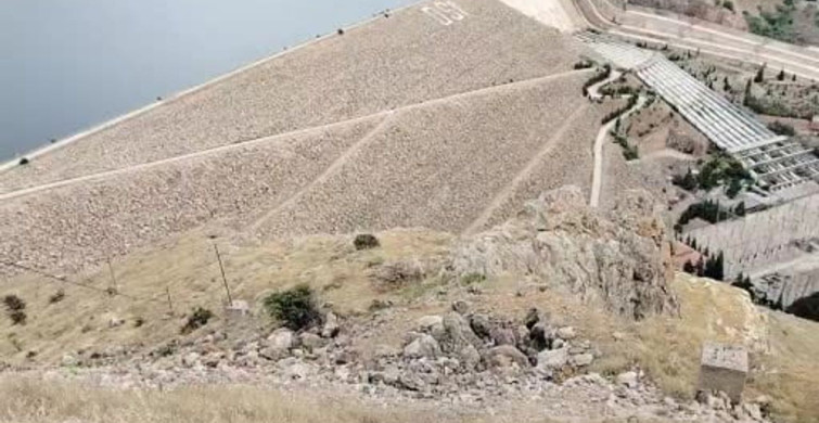 Keban’da dağ keçilerinin sürü halinde görünmesi