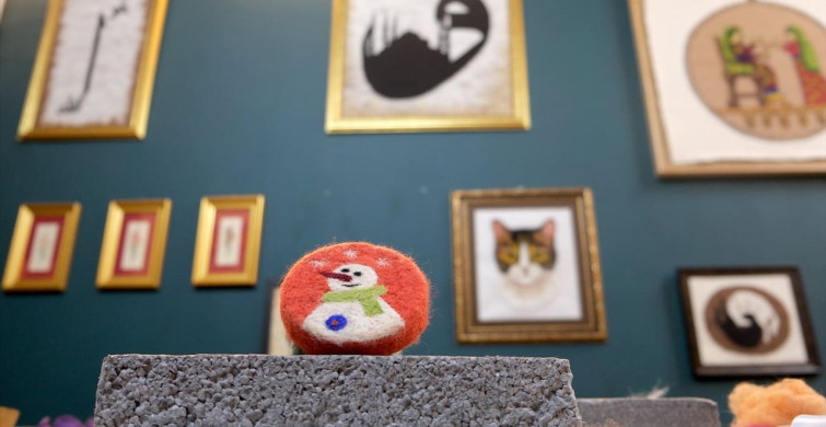 Keçe Sanatının Yaşatılmasında Kadın Eli: Necmiye Tekin