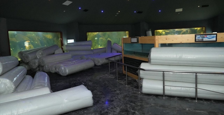 Keçiören'de Timsahların Ölümü ve Deniz Dünyası Tesisinin Durumu