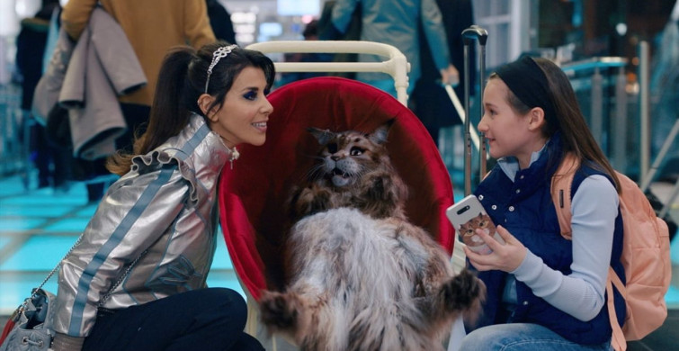 Kedi ve Köpek Filmi 27 Mart'ta Vizyona Girecek