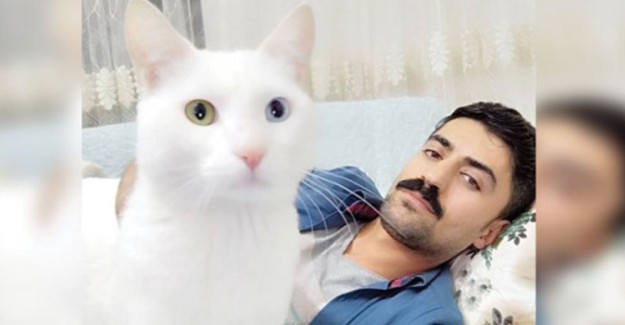 Kedisini Hayatta Tutabilmek İçin 190 Bin TL Harcadı