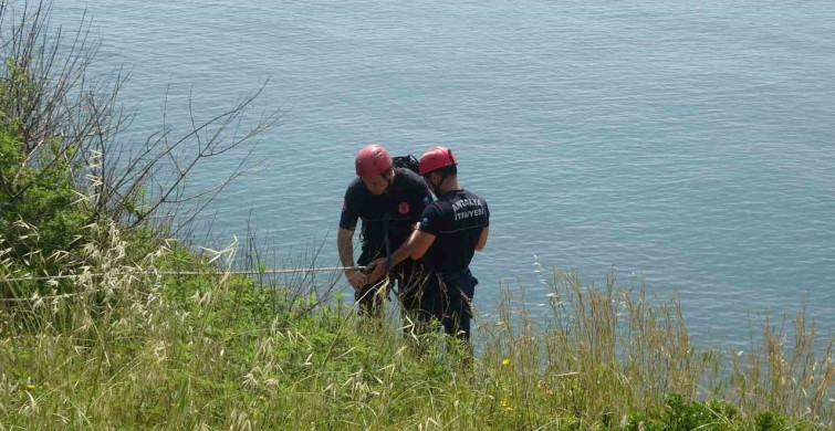 Kediyi Kovalarken Falezlerden Düşen Köpeği İtfaiye Kurtardı
