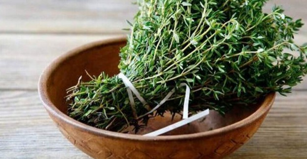Kekik Otu Böbrek Taşı Oluşumunu Azaltır mı?