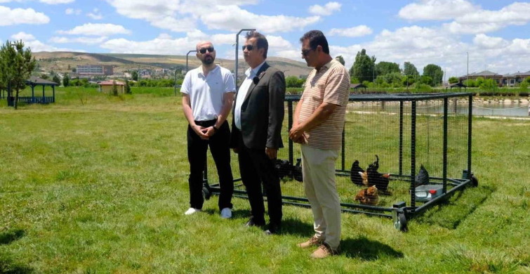 Keneyle mücadelede gezici tavuk kümesi uygulaması