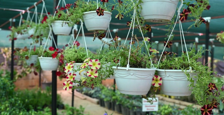 Kepez bahçe market antalya’nın hizmetine açılıyor