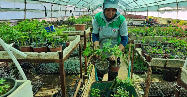 Kepez Belediyesi’nin bitki ve fidan üretim tesisi: yeşil dokunun mimarları