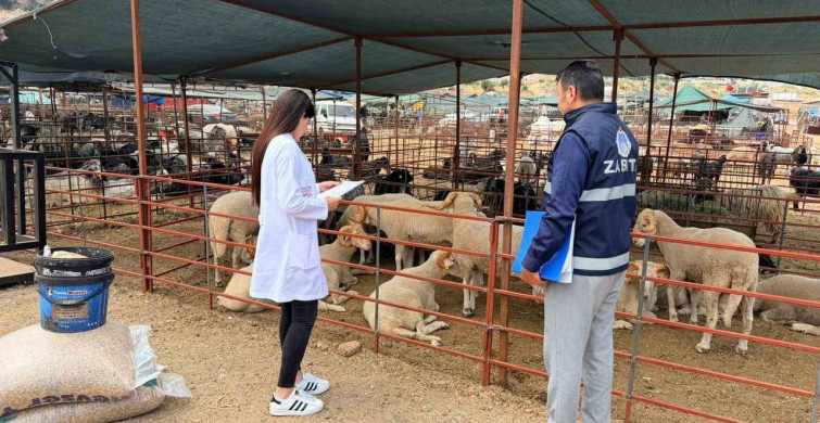 Kepez'de Kurban Satış ve Kesim Alanları Denetim Altında