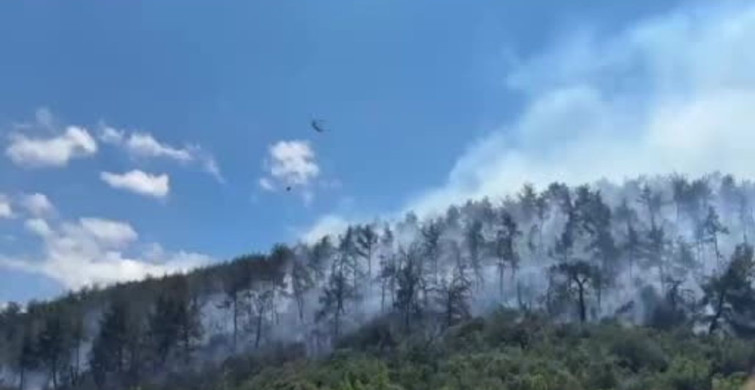 Kepsut’ta orman yangınına müdahale devam ediyor