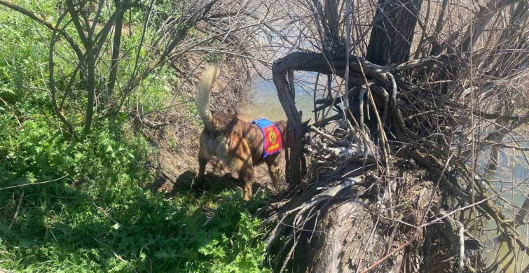 Kesikköprü’de Kaybolan Ramazan Karaaslan İçin Arama Çalışmaları Sürüyor