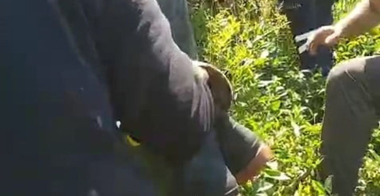 Kiraz toplarken ağaçtan düşen genç yaralandı