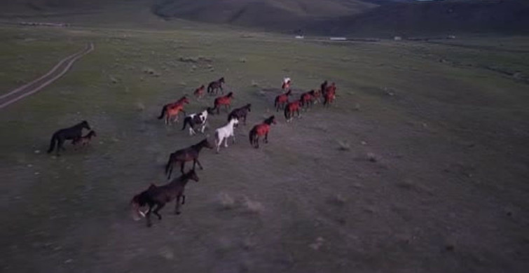 Kırgızistan bozkırlarında gün batımında kartpostallık görüntü
