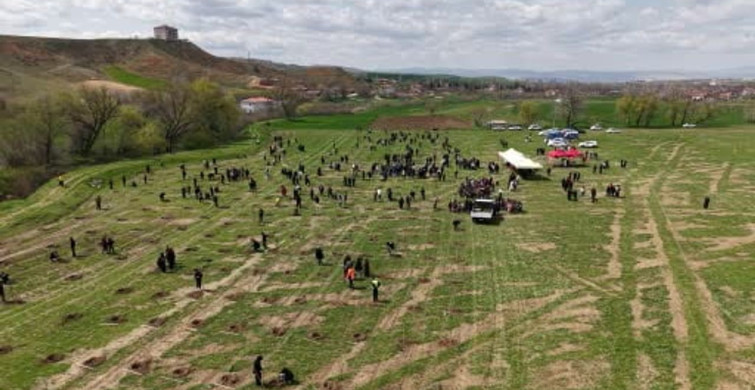 Kırıkkale'de 2 Bin Fidan Toprakla Buluştu