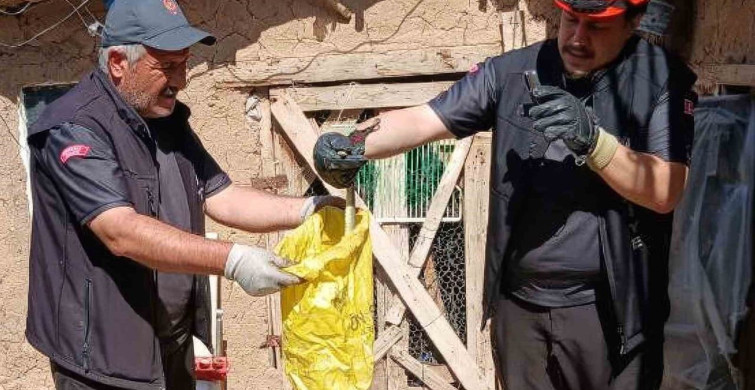 Kırıkkale'de kümese giren yılan itfaiye tarafından çıkarıldı