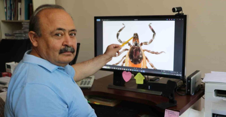 Kırım Kongo Kanamalı Ateşi ölümlerindeki ilginç detaylar