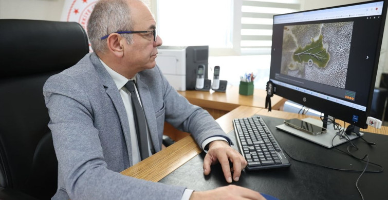 Kırklareli Ticaret İl Müdürü Mustafa Uzan, Yılın Kareleri Oylamasına Katıldı