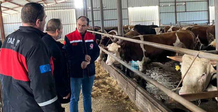 Kırklareli'de Kurban Bayramı Öncesi Besi Çiftliği Kontrolleri Artırıldı