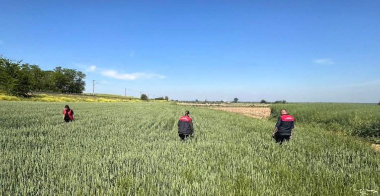 Kırklareli'nde Bilinçsiz İlaç Kullanımına Dikkat!