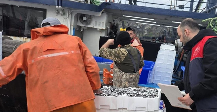 Kırklareli'nde Hamsi Avcılığına Sıkı Denetim