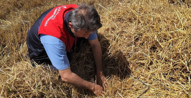 Kırklareli'nde hasat sezonu denetimleri sürüyor