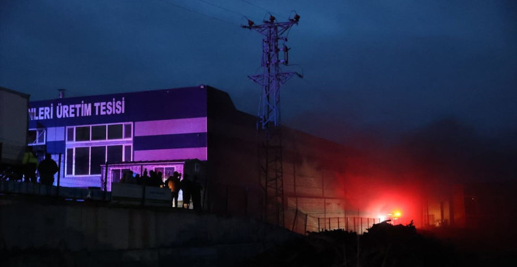 Kırklareli'nde Süt Ürünleri Tesisinde Yangın