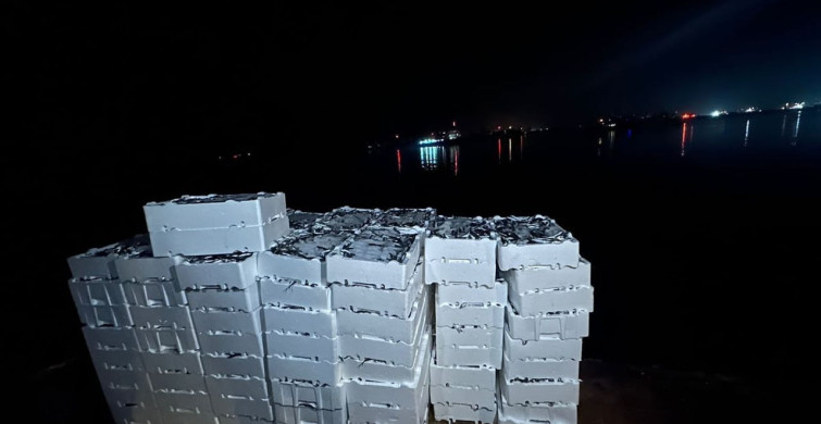 Kırklareli'nde Yasadışı İstavrit Avına Müdahale