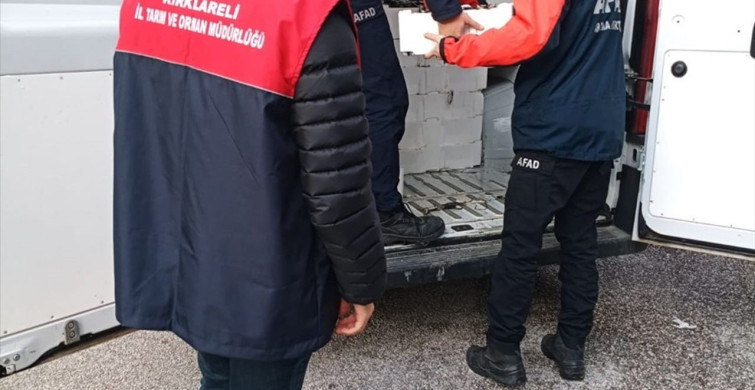 Kırklareli'nde Yasal Boy Sınırının Altında Avlanan İstavritlere El Konuldu