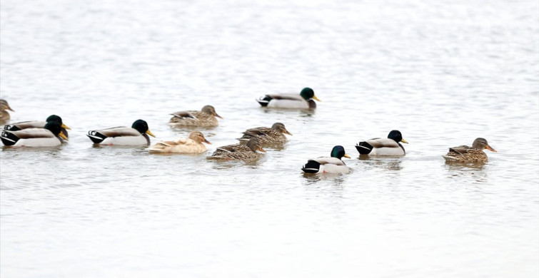 Kırklareli'nin Doğa ve Kültürel Zenginlikleriyle Dolu Rotaları