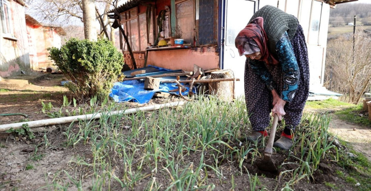 Kırklareli'nin Yaşam Enerjisi: 96 Yaşındaki Hatice Duyu'nun Hikayesi