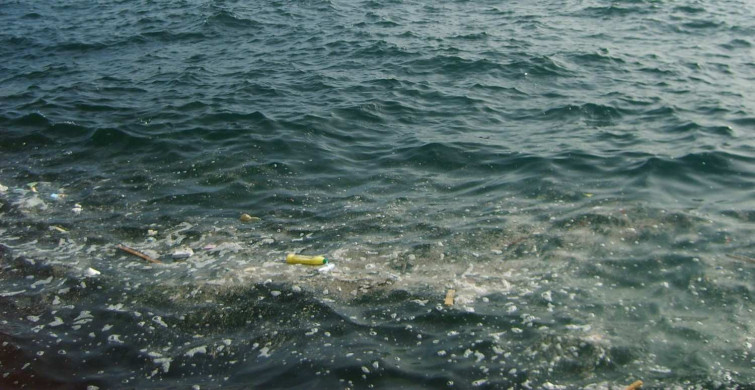 Kirlilik sorununa 'Süper solucanlar' çözümü! Plastik yiyen solucanlar geri dönüşümde devrim yaratabilir