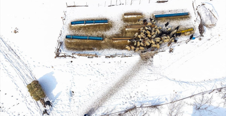 Kırsalda Zorlu Kış Yaşamı: Van'ın Gevaş İlçesi