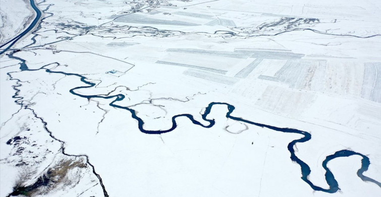Kışın Donmayan Menderesler Hayvancılığa Katkı Sağlıyor
