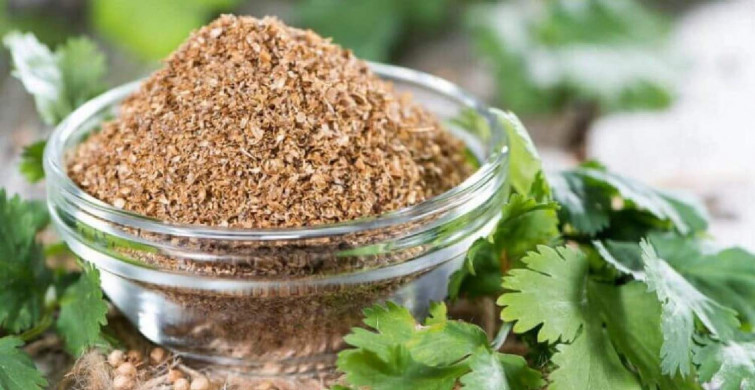 Kişniş kürünün nedir, nasıl yapılır? Vücuttaki kanı temizleyici özelliğe sahip kişniş kürü yapılışı