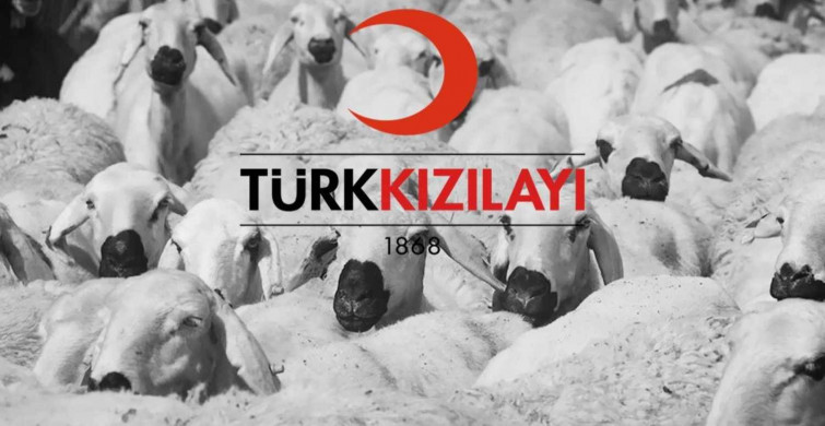 Kızılay 2022 Yurt içi, yurt dışı kurban bağışı kaç TL? Kızılay kurban bağış parası hangi banka şubelerinden yatırılır?