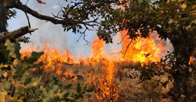 Kızılcahamam'da Yangın