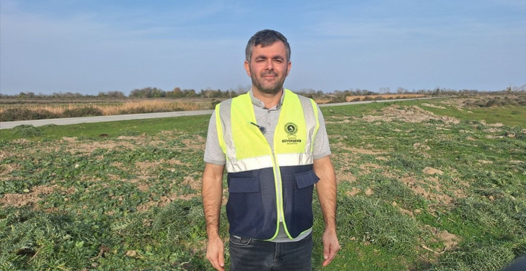 Kızılırmak Deltası'nda Sonbahar Yağışları Gölleri Canlandırdı