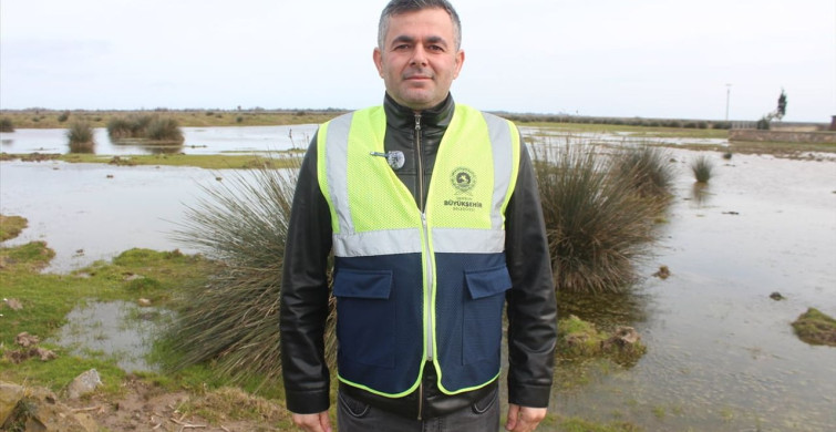 Kızılırmak Deltası'nda Su Seviyesi Yükseliyor: Kuş Cenneti Yeniden Hayat Buluyor