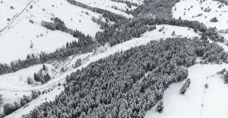 Kızlan Yaylası'ndaki Kış Eğlencesi