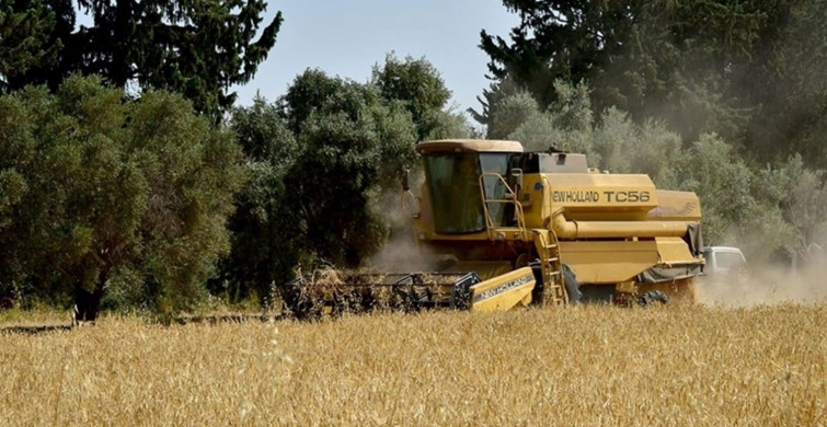 KKTC’de Türkiye Destekli İlk Tescilli Arpa Hasadı Yapıldı