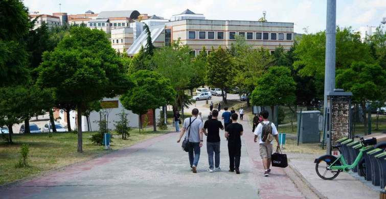 Kocaeli Üniversitesi'nde Sahipsiz Köpek Sorunu Devam Ediyor