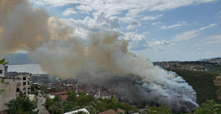 Kocaeli'de Ağaçlık Alanda Yangın Çıktı