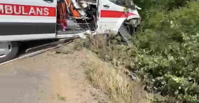 Kocaeli'de Ambulans Yoldan Çıktı
