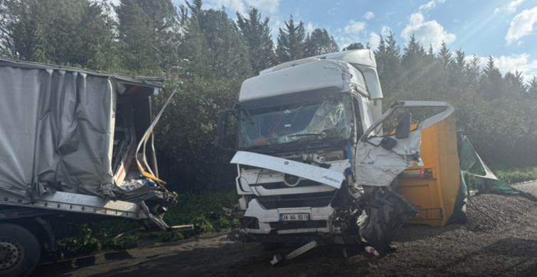 Kocaeli’de Anadolu Otoyolu’nda zincirleme kaza: 2 kişi hayatını kaybetti