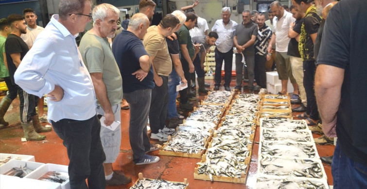 Kocaeli'de Balık Mezadı Sezonu Başladı