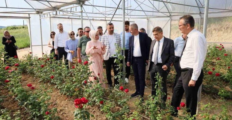 Kocaeli'de kadın girişimci hibe desteğiyle gül serası kurdu