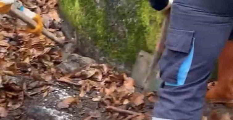 Kocaeli'de Kardeşler Arasındaki Cinayet Davasında Karar Verildi