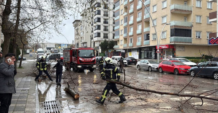 Kocaeli'de Kuvvetli Rüzgar Araçlara Zarar Verdi