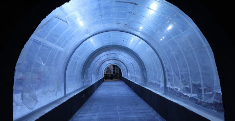 Kocaeli'de Su Altında Dünya Turu: Eşsiz Akvaryum Projesi