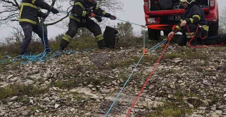 Kocaeli'de Zorlu Kurtarma Operasyonu: 16 Keçi ve Oğlak Hayata Döndü