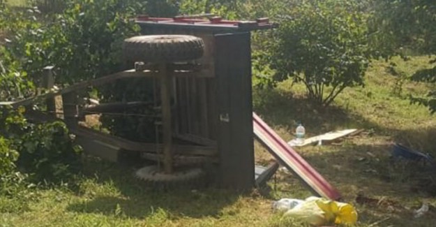 Kocaeli'nde Fındık İşçilerini Taşıyan Traktör Devrildi