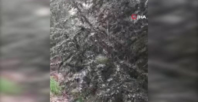 Kocaeli'nin Nisan Sürprizi: Kar Yağışı